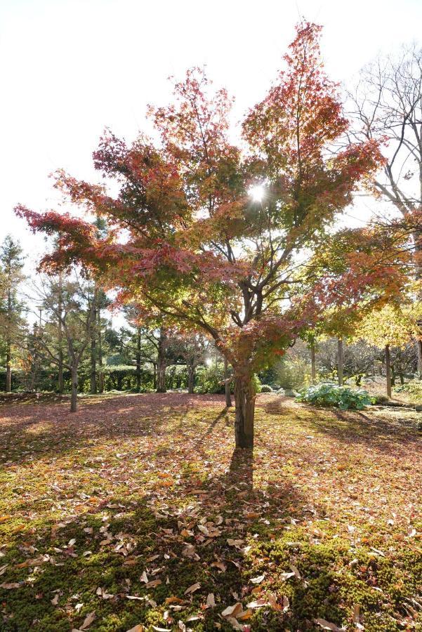 Japaning Senkyu Villa Kyoto Eksteriør bilde