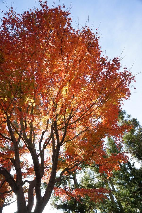 Japaning Senkyu Villa Kyoto Eksteriør bilde