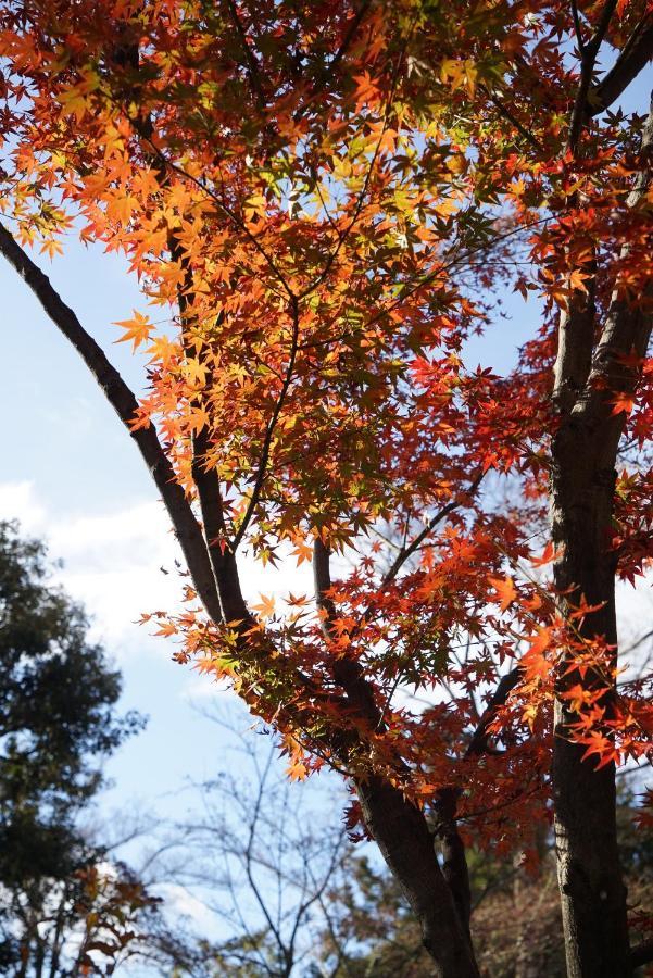 Japaning Senkyu Villa Kyoto Eksteriør bilde